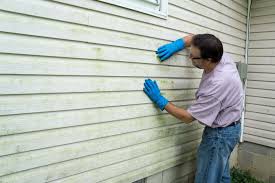 Best Vinyl Siding Installation  in Newstle, CA